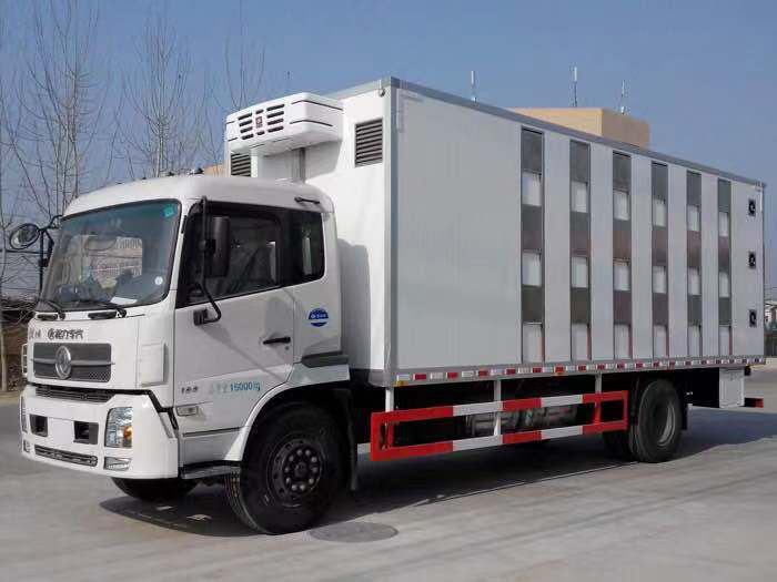 CLW5182XCQD5东风天锦雏禽运输车
