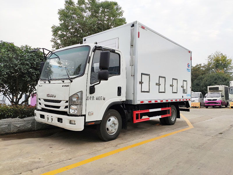 国六 五十铃kv100雏禽运输车（鸡苗）